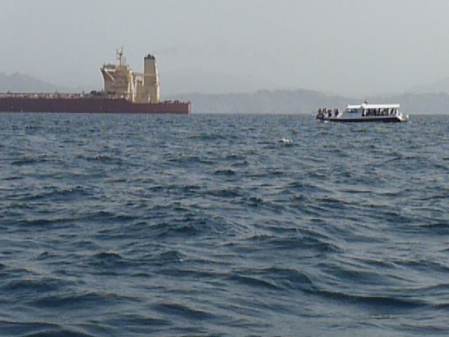 Oman 05 2011 (135).JPG